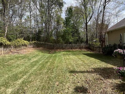 Lawn Care service in Taylors, 29687