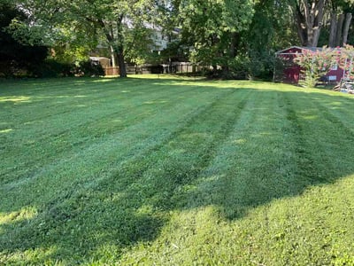 Lawn Care service in Columbia, 21044