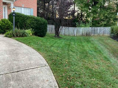 Lawn Care service in Columbia, 21044