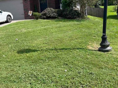 Lawn Care service in Harriman, 37748