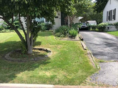 Lawn Care service in Saint Ann, 63074
