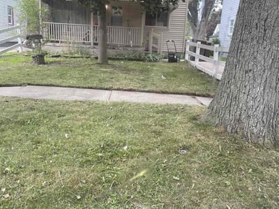 Lawn Care service in Oak Park, 48237
