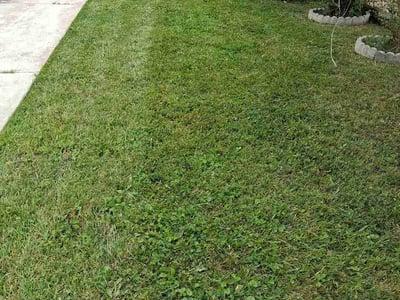 Lawn Care service in Cockeysville, 21030