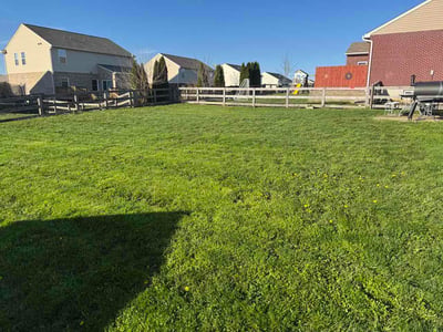 Lawn Care service in Independence, 41051