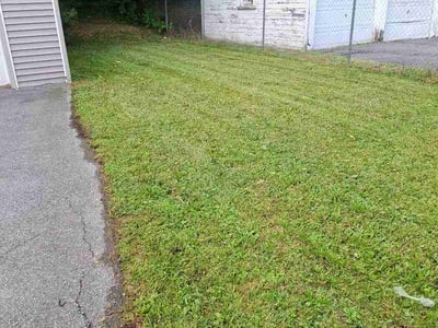 Lawn Care service in Cicero, 13039