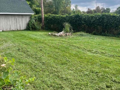 Lawn Care service in Brighton, 48116
