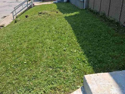 Lawn Care service in Lebanon, 45036