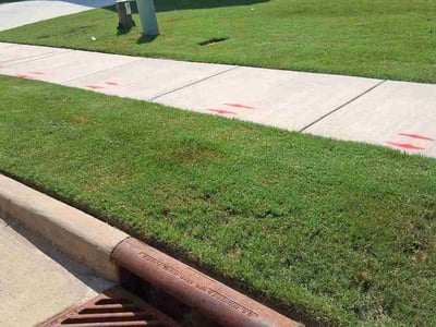Lawn Care service in Garner, 27529