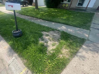 Lawn Care service in Oxford, 48371
