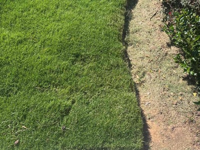 Lawn Care service in Garner, 27529