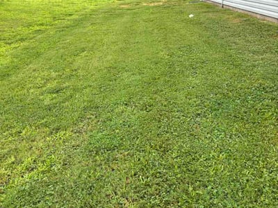 Lawn Care service in Mount Holly, 28120