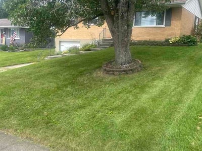 Lawn Care service in Charles Town, 25414