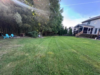 Lawn Care service in Abingdon, 21009