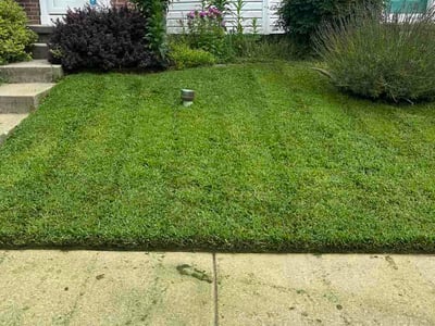 Lawn Care service in Abingdon, 21009