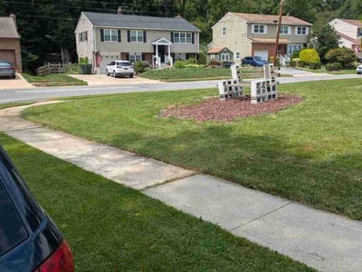 Lawn Care service in Newark, 19713