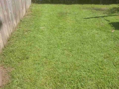 Lawn Care service in Ladson, 29456