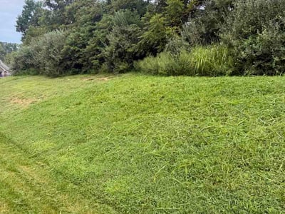 Lawn Care service in Haysville, 47546