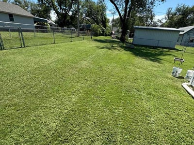 Lawn Care service in Newton, 67114