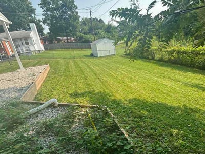 Lawn Care service in Jeffersontown, 40299