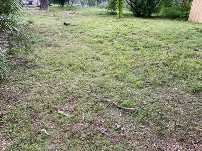 Lawn Care service in Anaheim, 92805