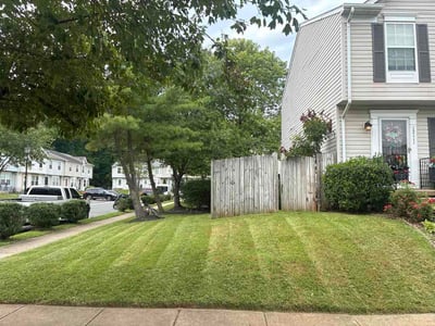 Lawn Care service in Capitol Heights, 20743