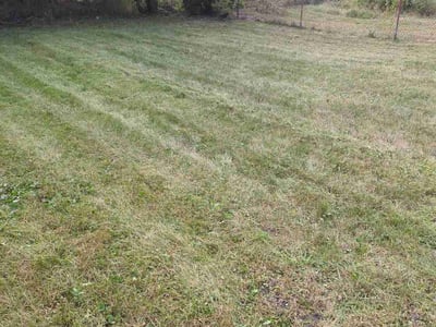 Lawn Care service in Crystal Lake, 60014
