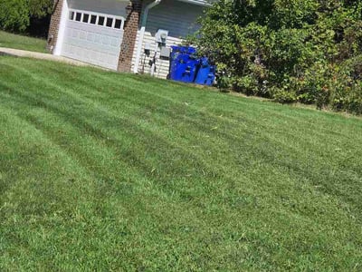 Lawn Care service in College Park, 20742