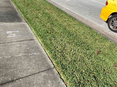 Lawn Care service in Orange City, 32763