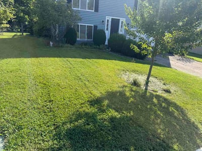 Lawn Care service in Erlanger, 41018