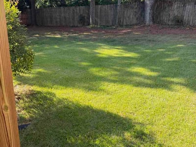 Lawn Care service in Travelers Rest, 29690