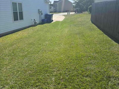 Lawn Care service in Siler City, 27344