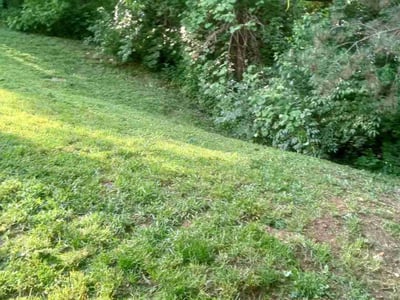 Lawn Care service in Erlanger, 41018