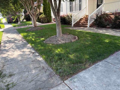 Lawn Care service in Franklinton, 27525