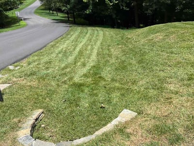 Lawn Care service in Goldsboro, 27530