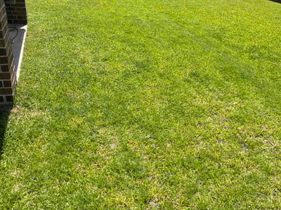 Lawn Care service in Portland, 78374