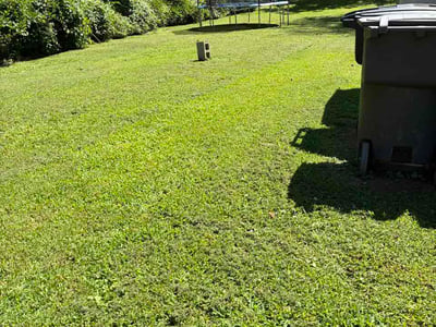 Lawn Care service in Jamestown, 27282