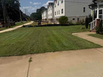 Lawn Care service in Rock Hill, 29730