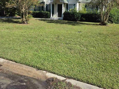 Lawn Care service in ,
