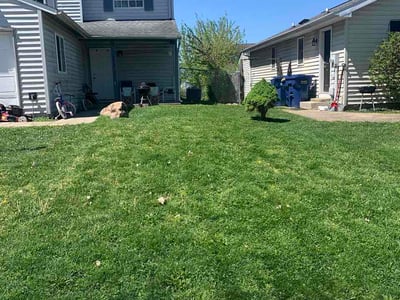 Lawn Care service in Carmel, 46032