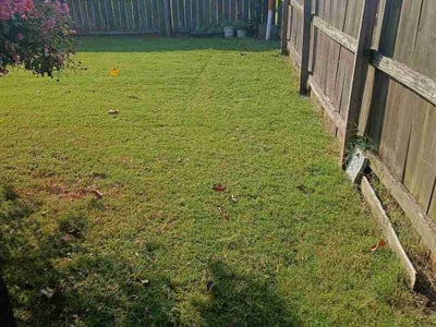 Lawn Care service in Ooltewah, 37363