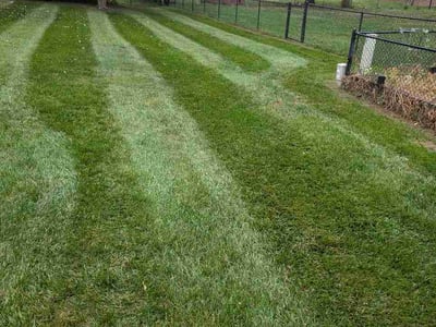 Lawn Care service in ,