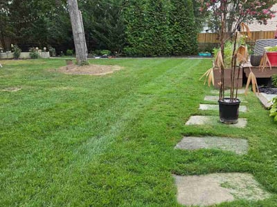 Lawn Care service in Centreville, 20120