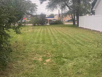Lawn Care service in Roselle, 60172