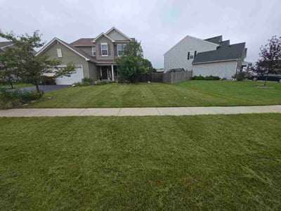 Lawn Care service in Roselle, 60172
