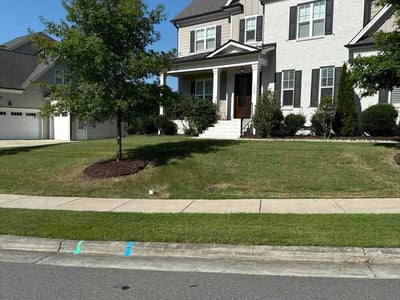 Lawn Care service in Apex, 27502