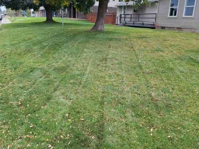 Lawn Care service in Cheney, 99004