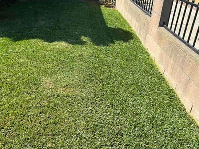 Lawn Care service in Glendora, 91741