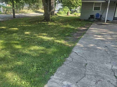 Lawn Care service in Centreville, 20120