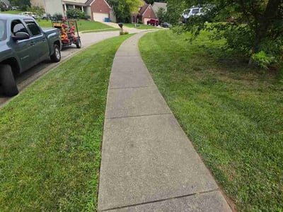 Lawn Care service in St Matthews, 40207
