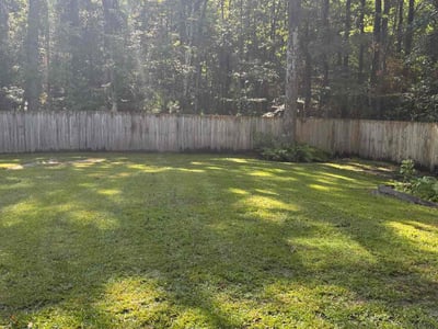 Lawn Care service in Venice, 90291